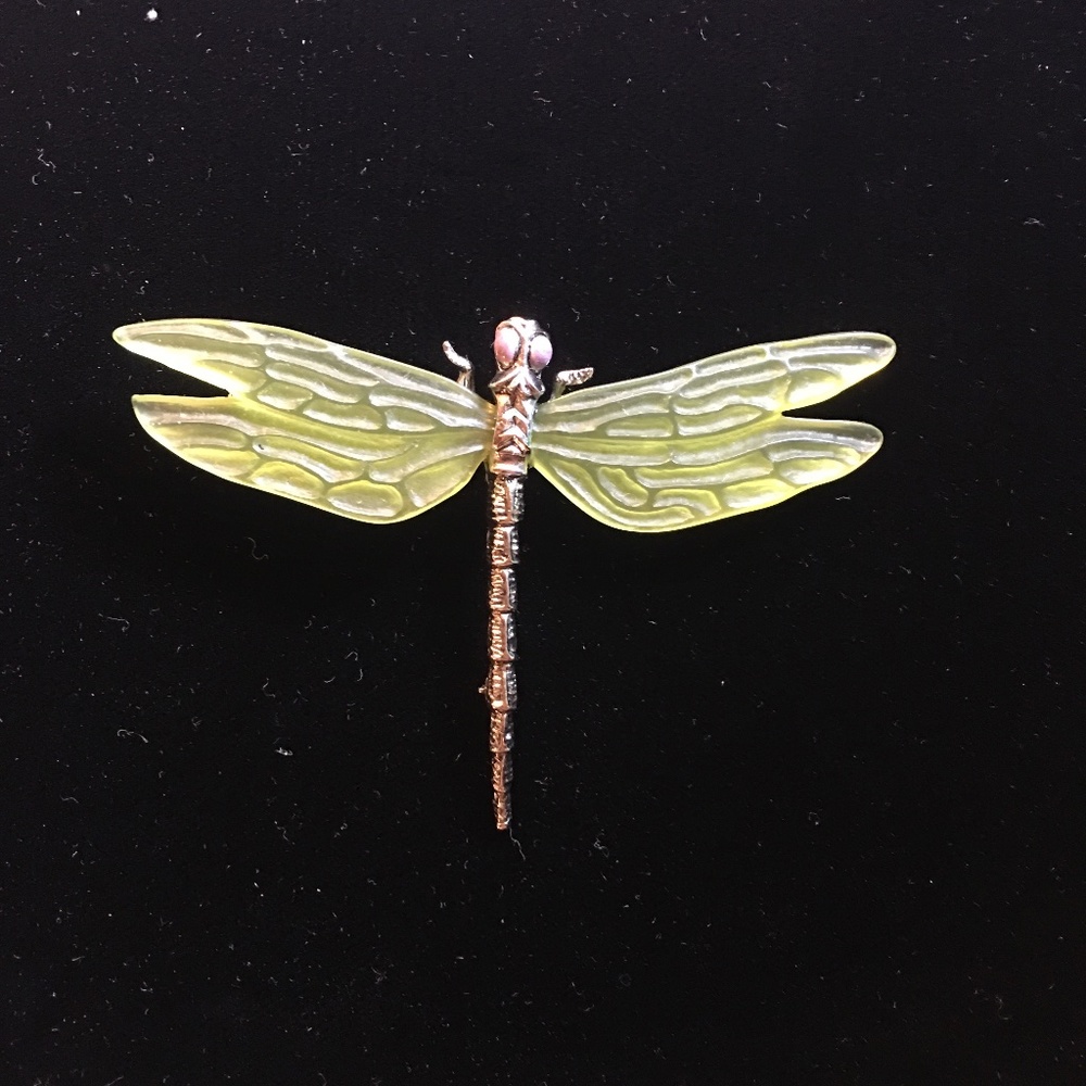 Dragonfly Pin from MMA